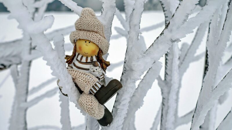 1100 zł na Ferie 2026: Dofinansowanie KRUS – Wnioski i Zasady