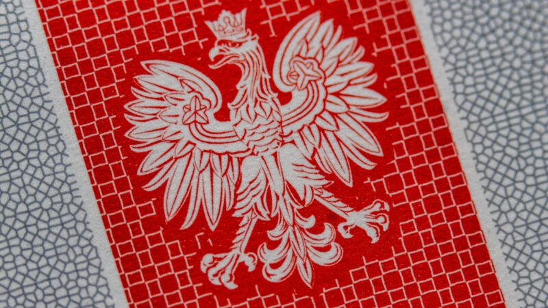 Pierwszy sondaż 2026: Sensacyjny wynik Brauna i Lewicy!